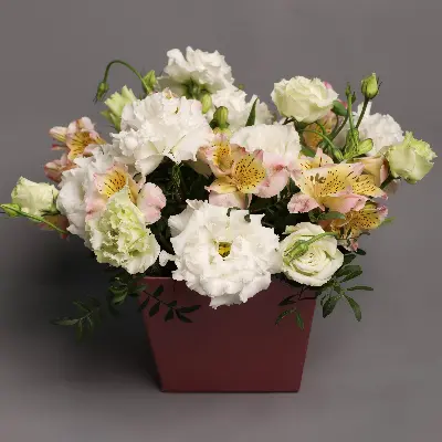 Шляпная коробка 400