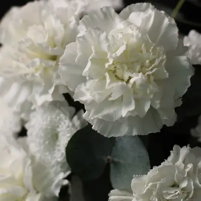 Шляпная коробка 412