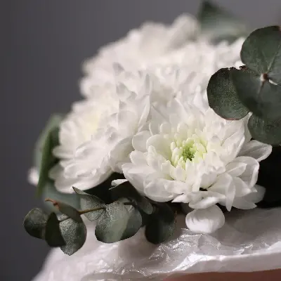 Шляпная коробка 480 из хризантем и эвкалипта