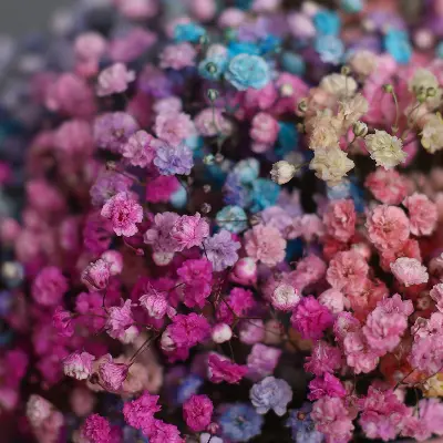 Шляпная коробка 499 из гипсофил