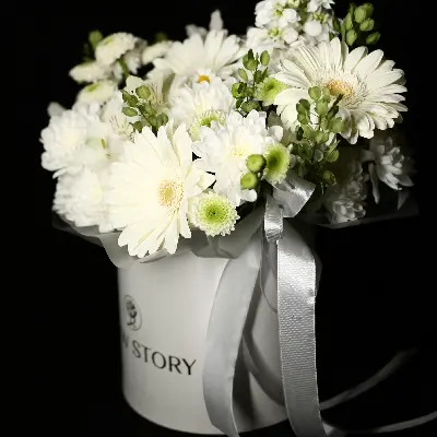 Шляпная коробка 57