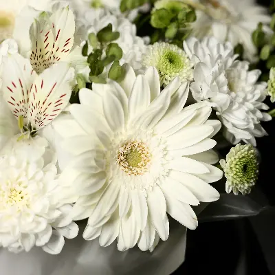 Шляпная коробка 57