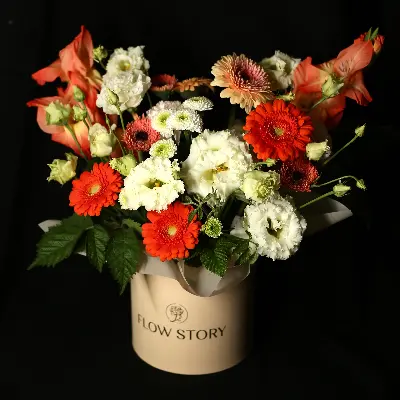 Шляпная коробка 59