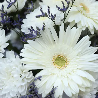 Шляпная коробка 899