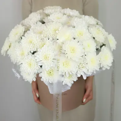 Шляпная коробка 900