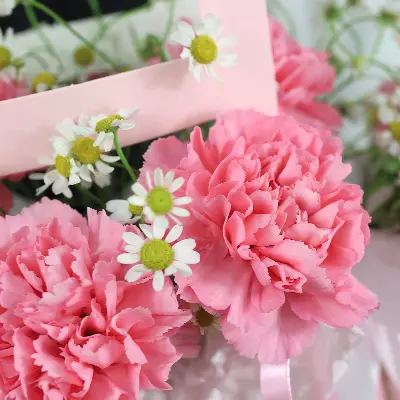 Сумочка 38 из диантусов и танацетума