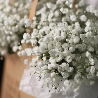 Сумочка 575 из гипсофил