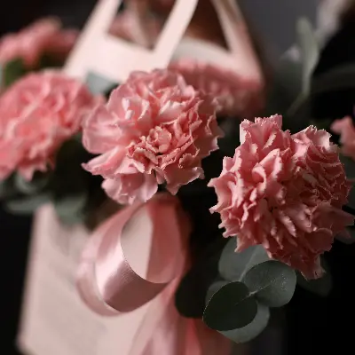 Сумочка 868 из диантусов и эвкалипта