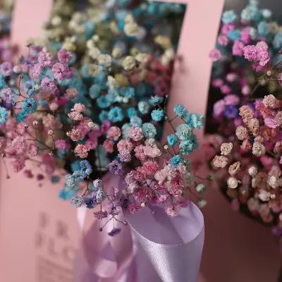 Сумочка 885  из гипсофил